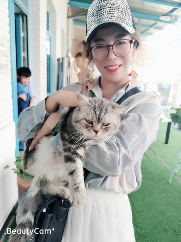 小黑猫的第一张照片--平顶山相亲服务中心
