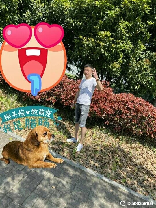 我若不坚强谁替我勇敢的第一张照片--平顶山相亲服务中心