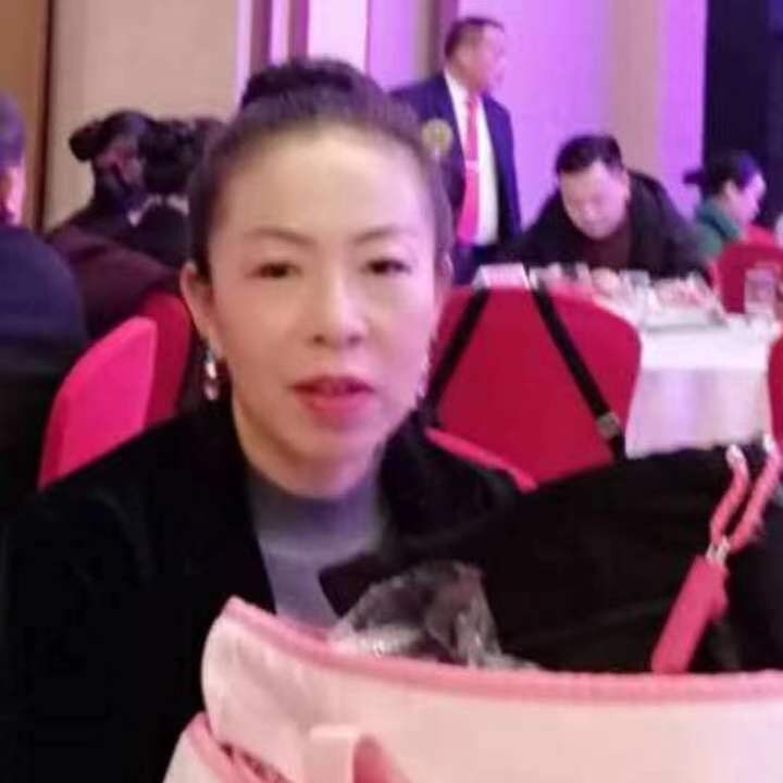 中秋桂花玉兔的第四张照片--平顶山相亲服务中心